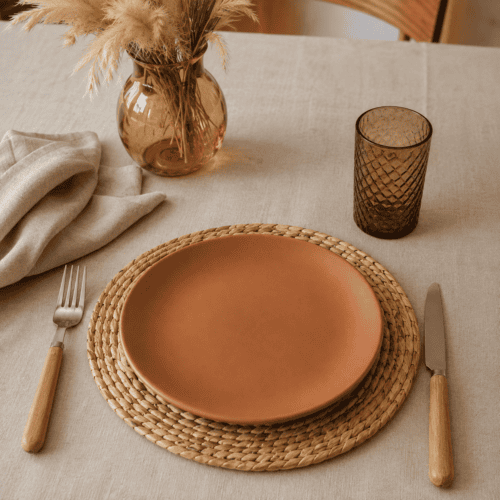PLATO PLAYO TERRA