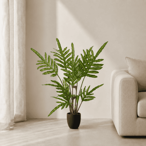 PLANTA FERN
