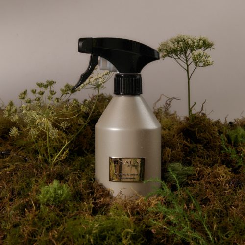 HOME SPRAY 500ML