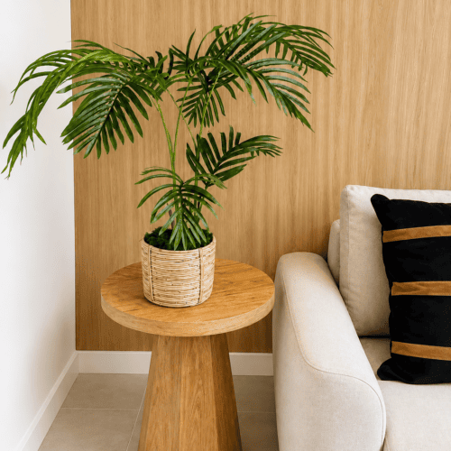 ARECA 110CM
